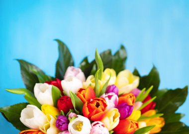 Mavi arka planda renkli lale demeti. Bahar çiçekleri. Sevgililer Günü, Kadınlar Günü ve Anneler Günü için fotokopi alanı olan tebrik kartı. Üst görünüm.