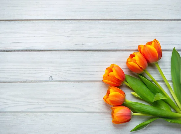 Rekreační Jarní Pozadí Pomerančové Tulipánové Květy Bílém Dřevěném Pozadí Pozdrav — Stock fotografie