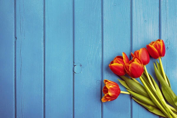 Rekreační Jarní Pozadí Barevné Tulipánové Květy Modrém Dřevěném Pozadí Pozdrav — Stock fotografie