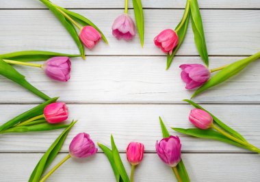 Bahar tatili geçmişi. Beyaz ahşap zemine dizilmiş renkli lale çiçekleri çerçevesi. Sevgililer Günü, Kadınlar Günü ve Anneler Günü için fotokopi alanı olan tebrik kartı. Üst görünüm.