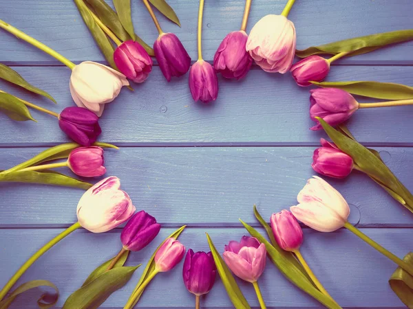 Vintage holiday spring background. Heart shaped frame of colorful tulip flowers arranged on blue wooden backdrop.  Greeting card with copy space for Valentine's Day, Woman's Day and Mother's Day. Top view.