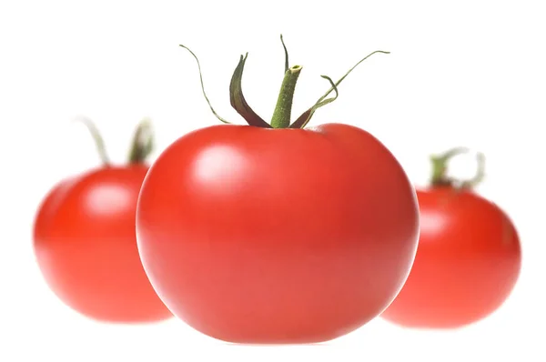 Tomates Vermelhos Maduros Frescos Com Caule Verde Uma Fileira Isolados — Fotografia de Stock