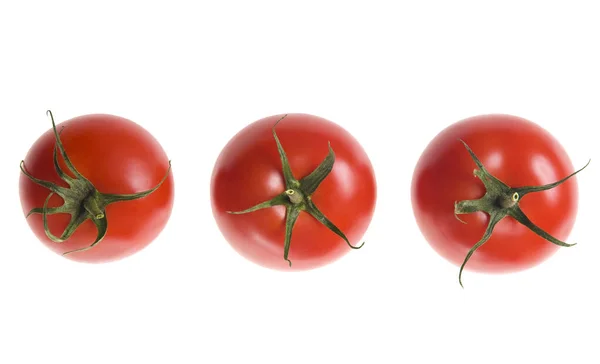 Tomates Rouges Fraîches Mûres Avec Tige Verte Dans Une Rangée — Photo