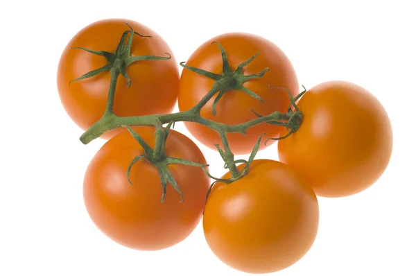 Ramo Tomates Naranjas Maduros Frescos Con Tallo Verde Aislados Sobre — Foto de Stock