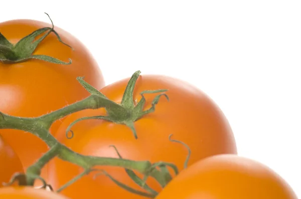 Ένα Μάτσο Φρέσκες Ώριμες Πορτοκαλιές Ντομάτες Πράσινο Μίσχο Απομονωμένες Λευκό — Φωτογραφία Αρχείου