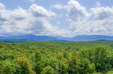 Dağlardaki ormanın mavi gökyüzüne karşı manzarası. Dağ Pezazh.