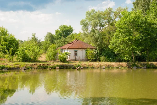 Wiejski krajobraz z jeziorem. Ukraina — Zdjęcie stockowe