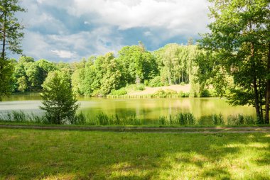 Eski parke gölde. Ukrayna