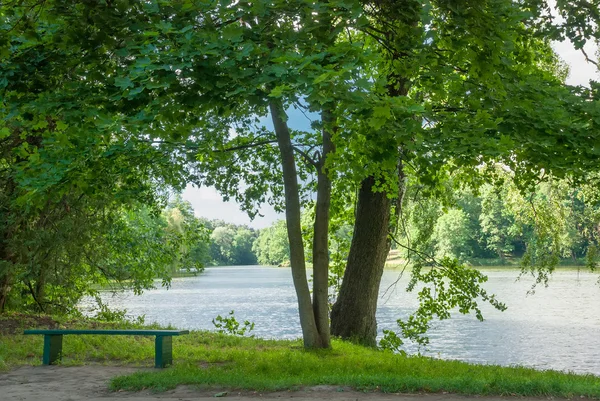 Danau di parke.Ukraina lama — Stok Foto