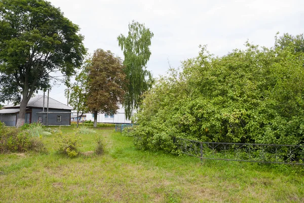 Apple-koloni (apple-bush) - ett botaniska natur monument. Staden Krolevets, Sumy region, Ukraina — Stockfoto