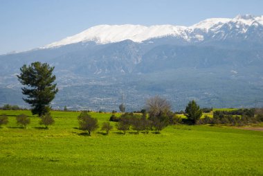 Yeşil alan ve Muğla il dağlarda. Türkiye