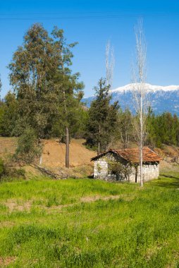 Yeşil alan ve Muğla il dağlarda. Türkiye