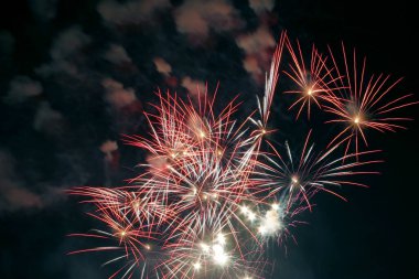 fireworks night sky celebration people family new year eve 4th of july