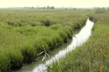 Alan Ebro arkaplanındaki yol