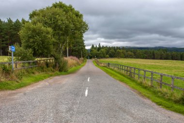 road in the countryside cloudy day