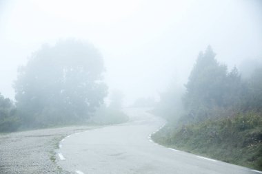 Hiçbir yere giden yol sisli sonbahar kış manzaralı seyahat turizmi
