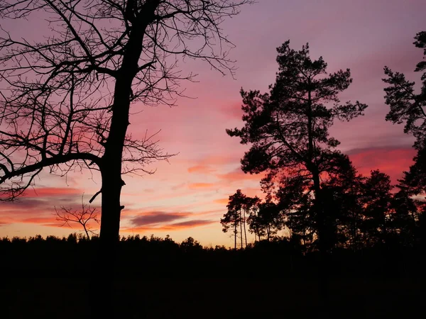 Night Landscape Bright Sunset Sky — Stock Photo, Image