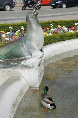 Fountain 