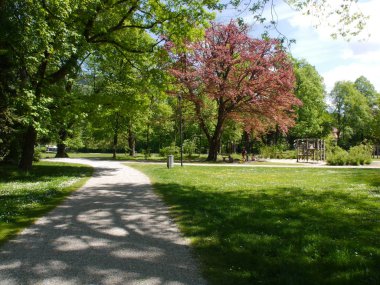İnsanlar Salzburg şehir parkında oyun oynuyor.