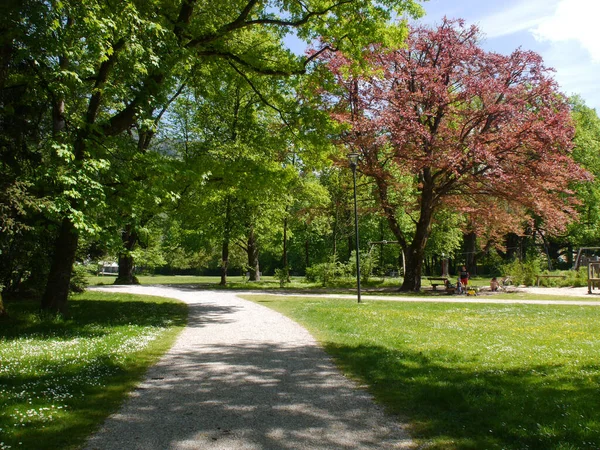 İnsanlar Salzburg şehir parkında oyun oynuyor.