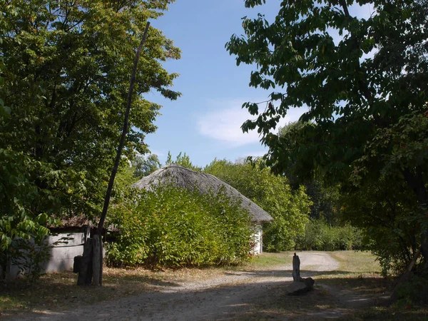 Alte Traditionelle Ukrainische Dorfhäuser Typische Ländliche Architektur Sommer Outdoor Landschaft — Stockfoto