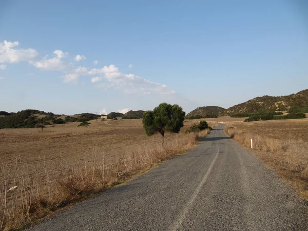 Karpaz National Park,Northern Cyprus.