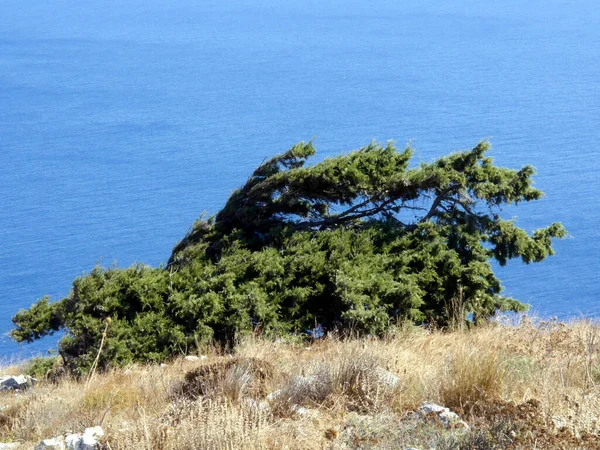Yunanistan 'ın Santorini adasındaki Mesa Vouno Dağı' nın panoramik manzarası.