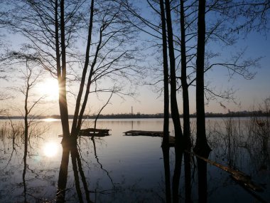 Gün batımında, ağaçların arka planında. Göldeki doğanın yansıması. Elmas Gölü Kiev, Ukrayna.