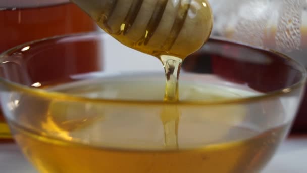Close Footage Healthy Natural Honey — 비디오