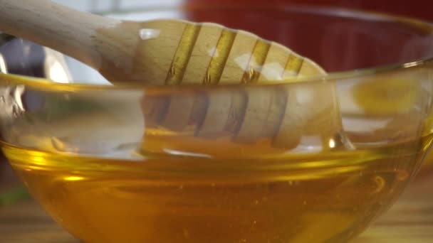 Närbilder Hälsosam Naturlig Honung — Stockvideo