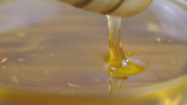 Närbilder Hälsosam Naturlig Honung — Stockvideo