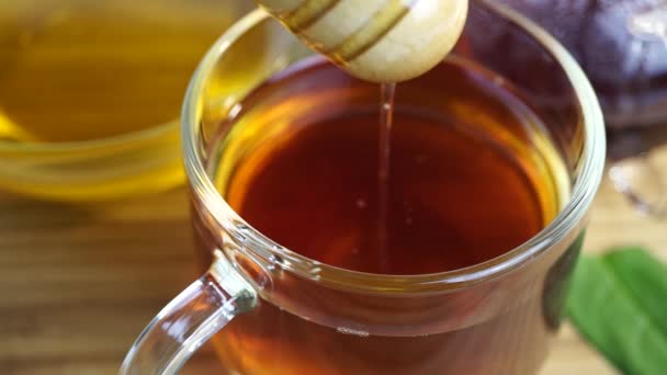 Honey Dripping Dipper Glass Cup Tea Close — Stock Video
