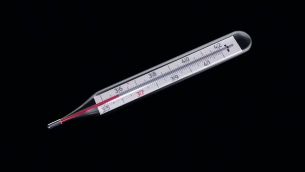 Animation Glass Mercury Thermometer Variable Temperature Black Background Animation Seamless — Stock Video