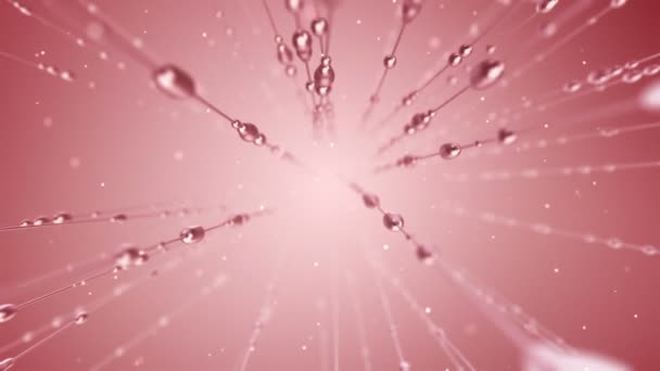 Abstract Animation Water Drops Gliding Lines Pink Background Animation Seamless — Stock Video