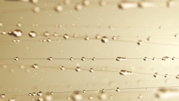 Abstract Animation Water Drops Gliding Lines Golden Background Animation Seamless — Stock Video