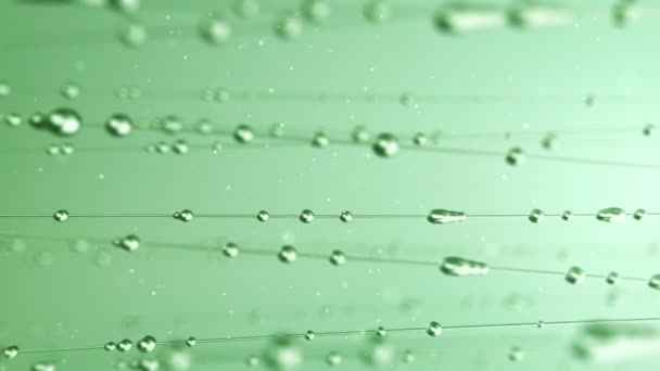 Abstract Animation Water Drops Gliding Lines Green Background Animation Seamless — Stock Video