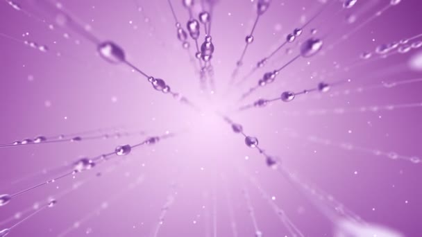 Абстрактная Анимация Капель Воды Скользящих Вдоль Линий Фиолетовом Фоне Анимация — стоковое видео