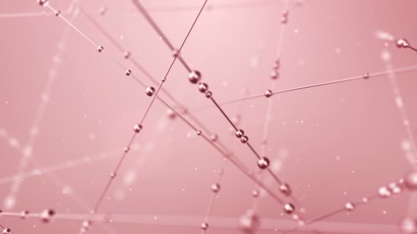 Abstract animation of water drops gliding along lines on pink background Animation of seamless loop — Stock Footage Abstract Animation Water Drops Gliding Lines Pink Background Animation Seamless Video Clip