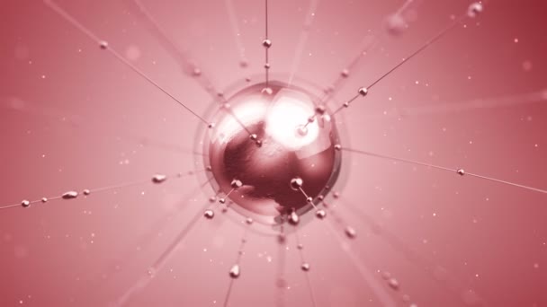 Abstrakte Animation Von Wassertropfen Die Entlang Von Linien Auf Rosa — Stockvideo