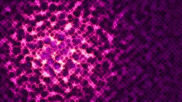 具有亮粉色振动马赛克细胞的抽象表面 黑色背景分子 生物和微生物学背景 无缝环的动画 — 图库视频影像