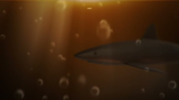 鲨鱼水下无缝回旋3D动画镜头 — 图库视频影像
