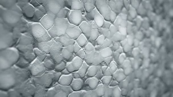 Abstract Achtergrond Met Animatie Van Witte Rimpels Organisch Oppervlak Animatie — Stockvideo