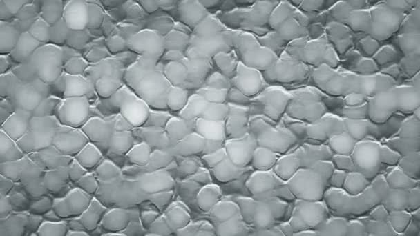 有機表面の白い波紋のアニメーションを用いた抽象的な背景 シームレスなループのアニメーション — ストック動画