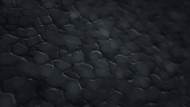 Fond Abstrait Avec Animation Des Ondulations Noires Surface Organique Animation — Video