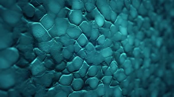 Fond Abstrait Avec Animation Des Ondulations Turquoise Surface Organique Animation — Video