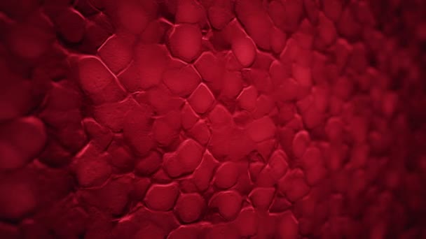 Abstract Achtergrond Met Animatie Van Rode Rimpels Organisch Oppervlak Animatie — Stockvideo
