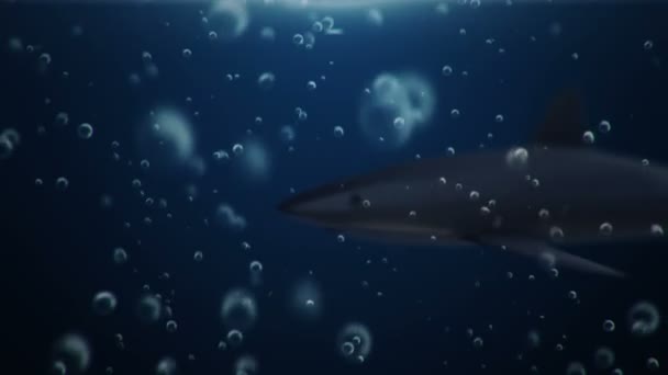 Animační Záběry Žraloka Pod Vodou Bezešvé Smyčky — Stock video