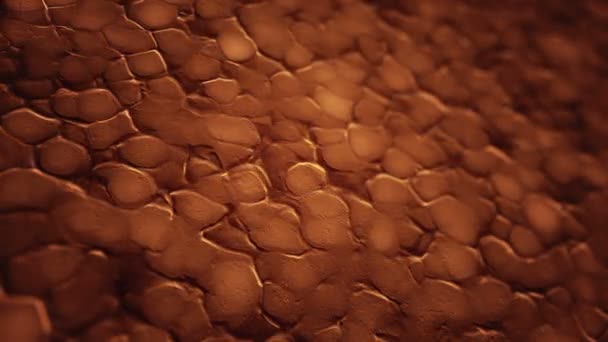 추상적 오렌지 파동을 유기적 표면에서 표현하는 추상적 바다없는 고리의 애니메이션 — 비디오