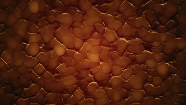 Abstract Achtergrond Met Animatie Van Oranje Rimpelingen Organisch Oppervlak Animatie — Stockvideo