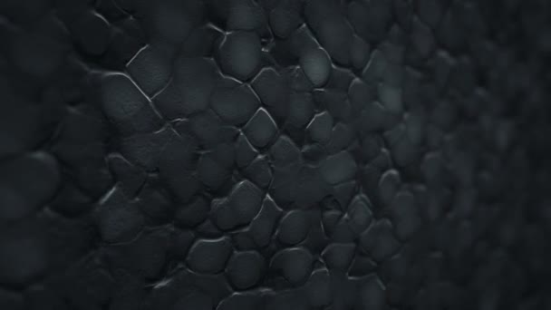 Fond Abstrait Avec Animation Des Ondulations Noires Surface Organique Animation — Video